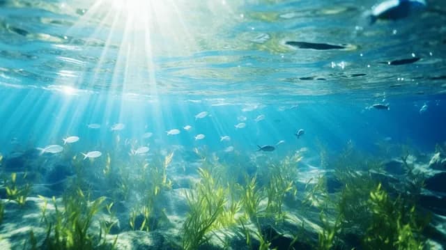 استراتيجية عربية لاستدامة الموارد السمكية 2  