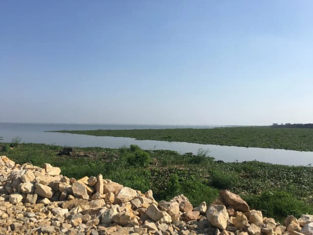 بحيرة المنزلة