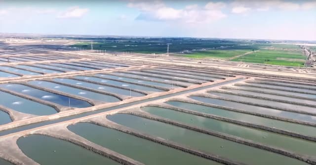 قناة السويس 