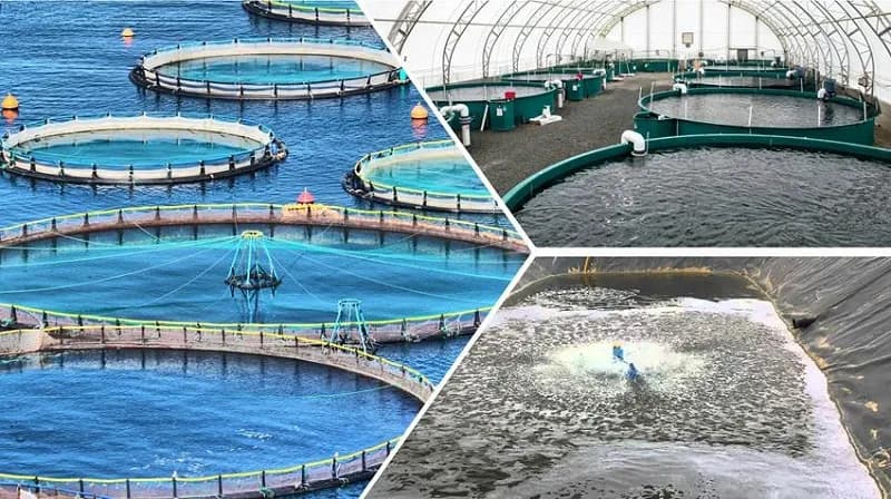 سياسات إستخدام المياه في مصر المشاكل والحلول الممكنة ج 2