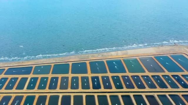 مشروع مثلث الديبة للاستزراع السمكي غرب بورسعيد