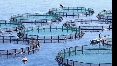 قائمة ببليوجرافية الثروة السمكية