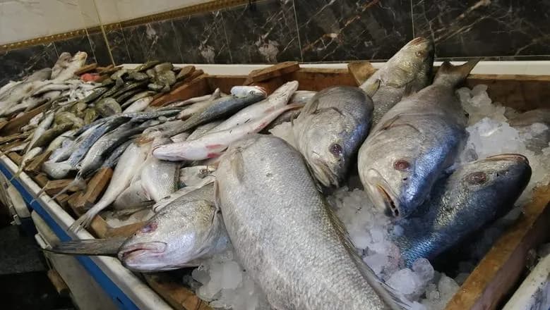 دور التعاونيات السمكية فـــى تحقــيق التنمــية المســـتدامة