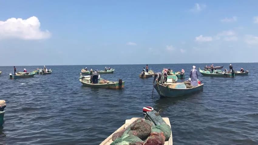 بحيرة المنزلة