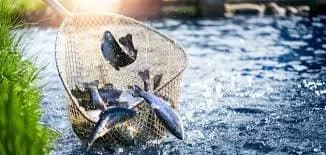 الاجراءات المقترحة للمحافظة علي و تنمية الموارد السمكية في البحر المتوسط